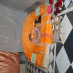 Vraj-Yatra-2014- (1497)